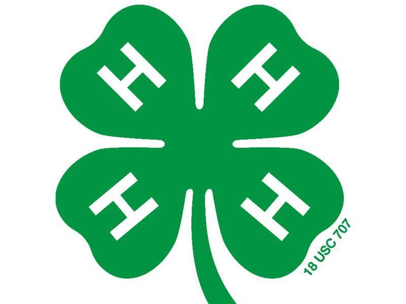 Logo for 2024 Logan/Menard/Sangamon 4-H Horse Show