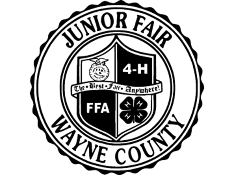 Fair Logo